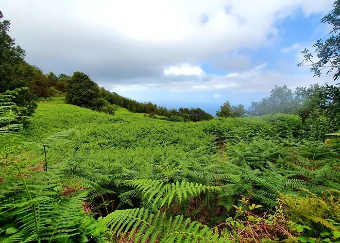 Casa vacanze Pretty Cozy House In Icod De Vinos Casa Tata