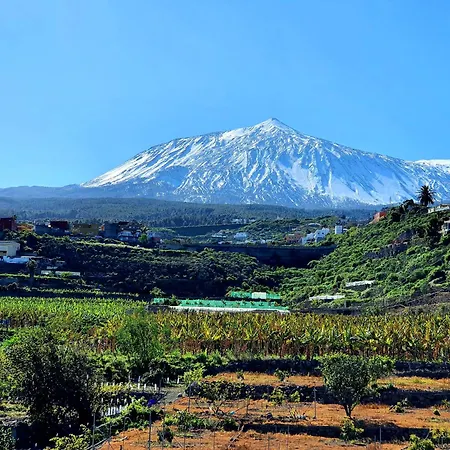 Pretty Cozy House In Icod De Vinos Casa Tata 別荘 イコー・デ・ロス・ビノス