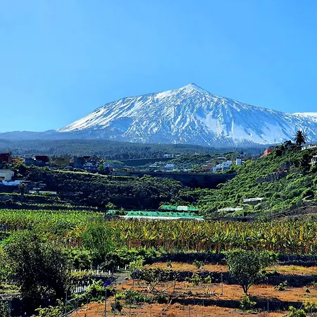 Pretty Cozy House In Icod De Vinos Casa Tata By Hrtenerife Net Holiday home Icod De Los Vinos
