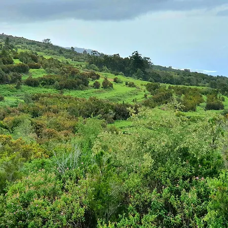 Pretty Cozy House In Icod De Vinos Casa Tata