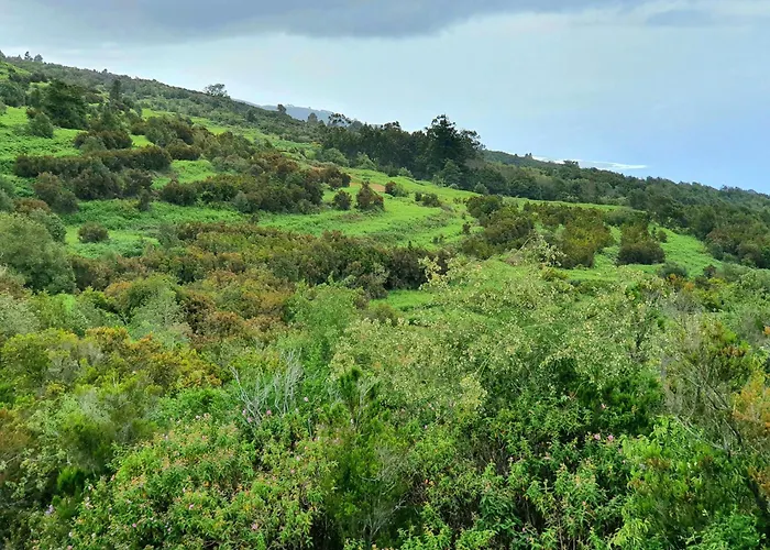 Pretty Cozy House In Icod De Vinos Casa Tata